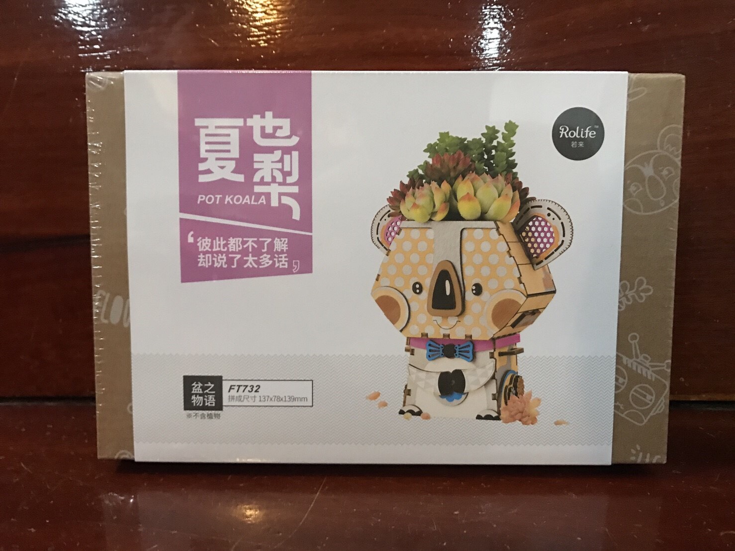 DIY Flower Pot - Pot Koala - กระถางต้นไม้