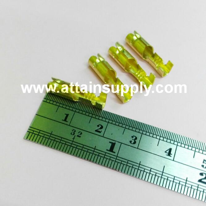 หางปลาทองเหลือง-กลม No.6