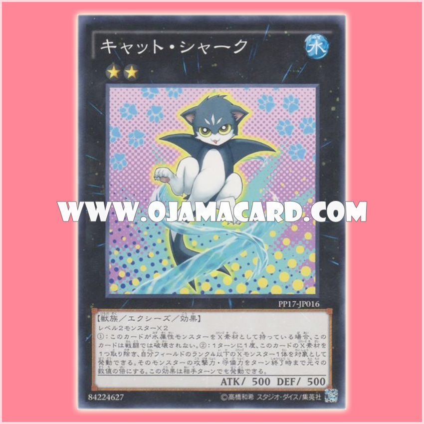 PP17-JP016 : Cat Shark (Common)