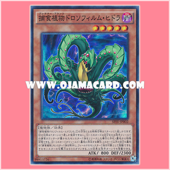 SPFE-JP002 : Predaplant Drosophyllum Hydra / Predator Plants Drosophyllum Hydra (Super Rare)