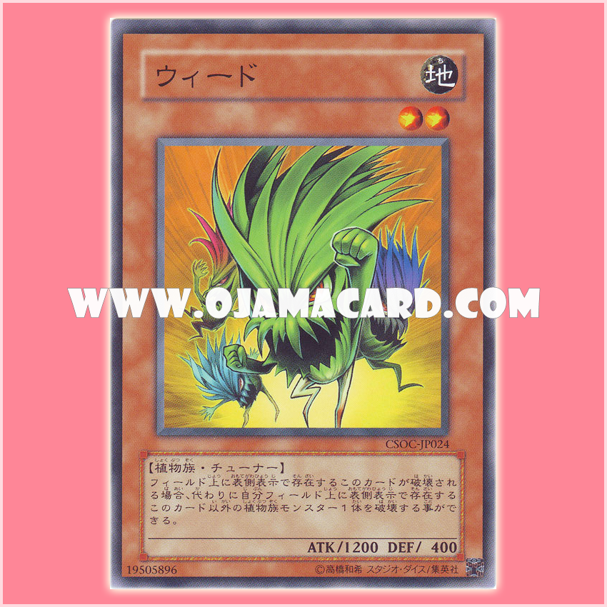 CSOC-JP024 : Nettles / Weed (Common)