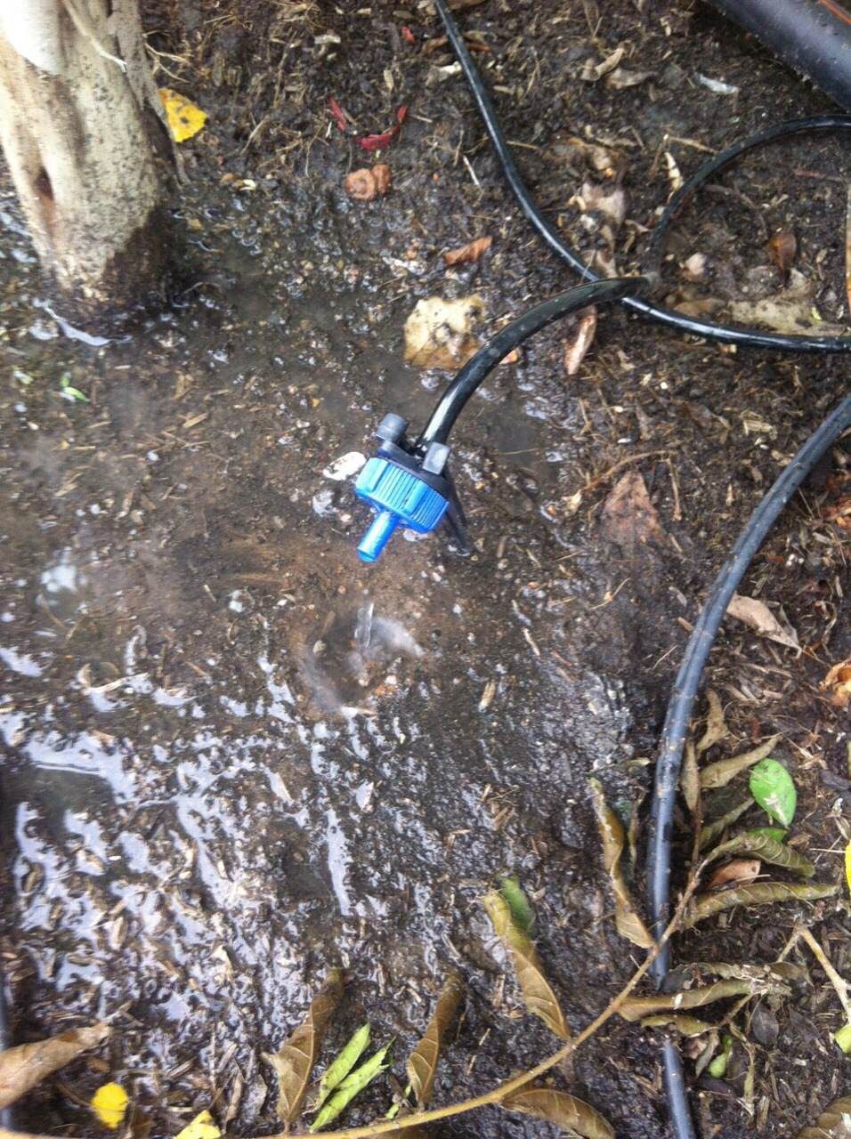 ออกแบบ รับเหมางานระบบรดน้ำต้นไม้และระบบพ่นหมอก แรงดันสูง แรงดันต่ำ