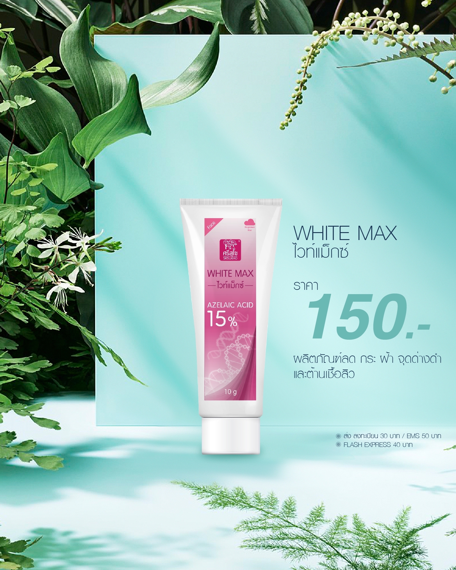 LORIENT White max cream 10g. LOT ลอต ลอเรียนท์ ไวท์แม็กซ์ ครีม 10g.