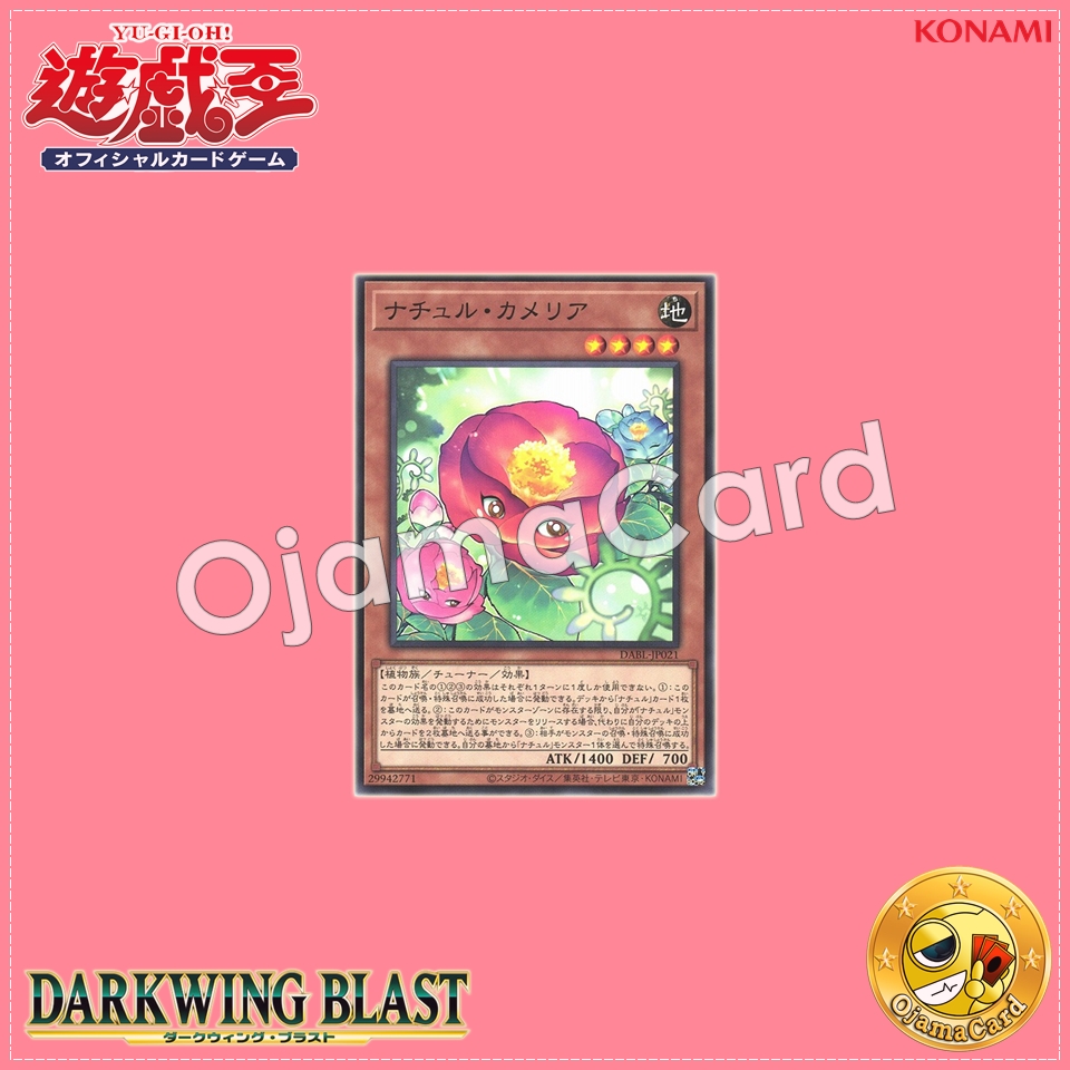 DABL-JP021 : Naturia Camellia / Naturu Camellia (Common)
