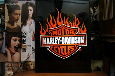 ป้ายhaley4