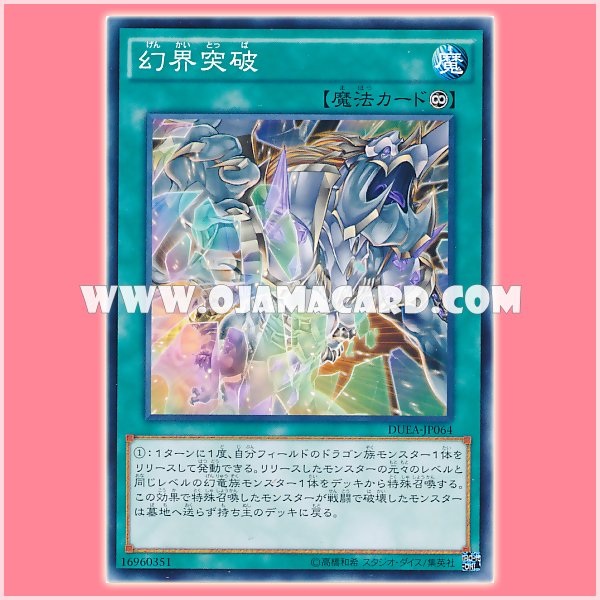 DUEA-JP064 : Metaphization (Common)