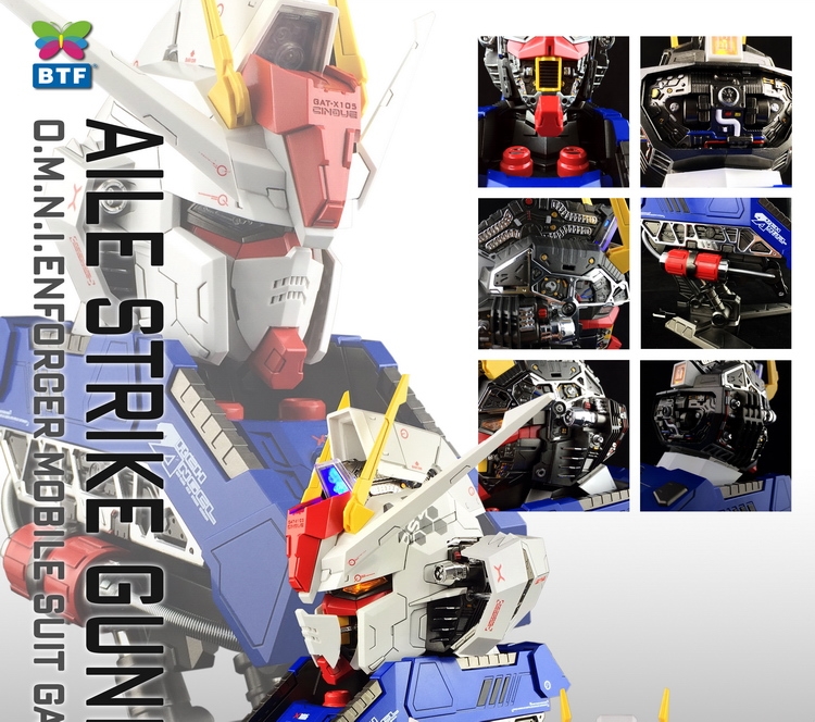 1/24 Aile Strike Gundam Head [BTF]