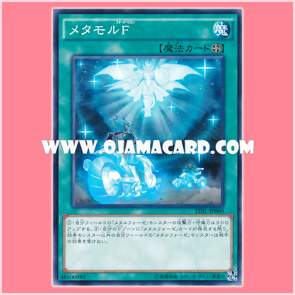 TDIL-JP060 : Metamorformation (Common)