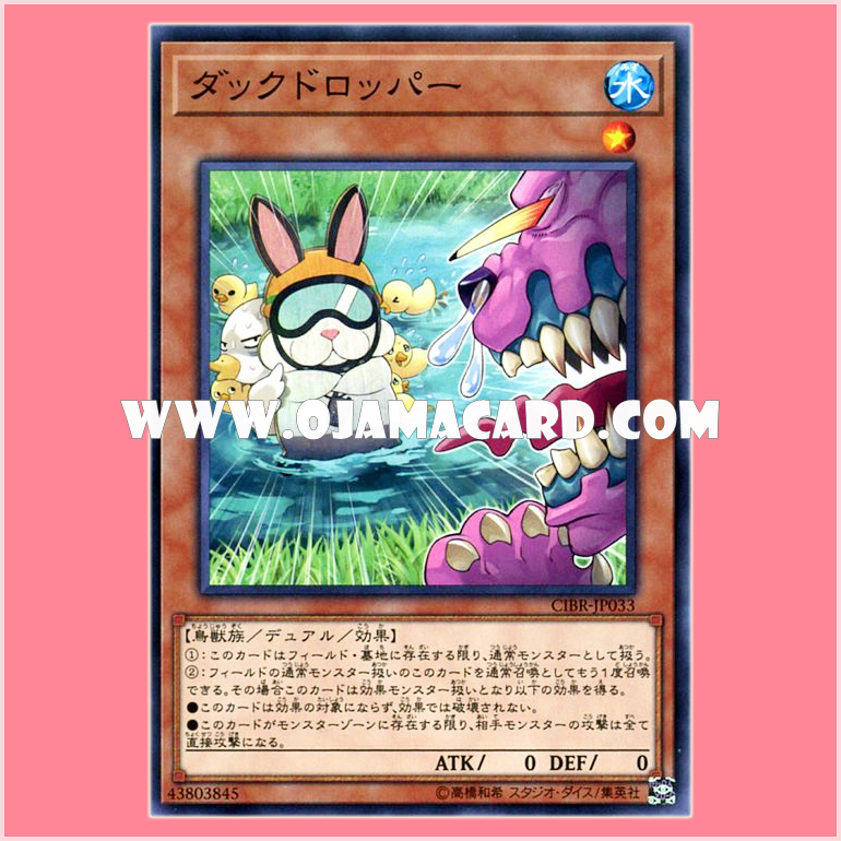 CIBR-JP033 : Duck Dropper (Common)