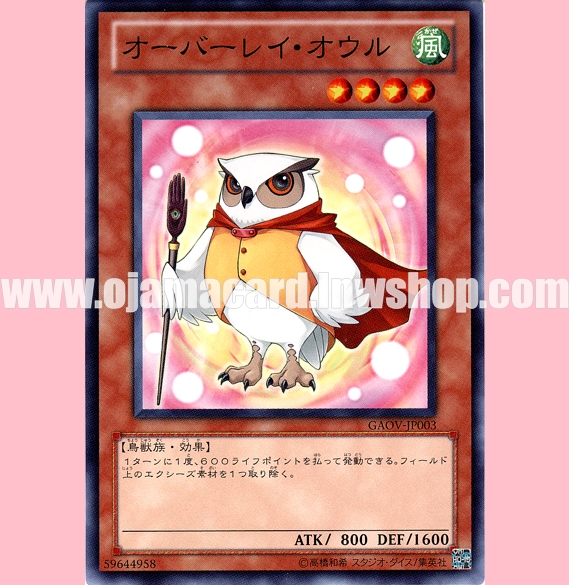 GAOV-JP003 : Overlay Owl (Common)