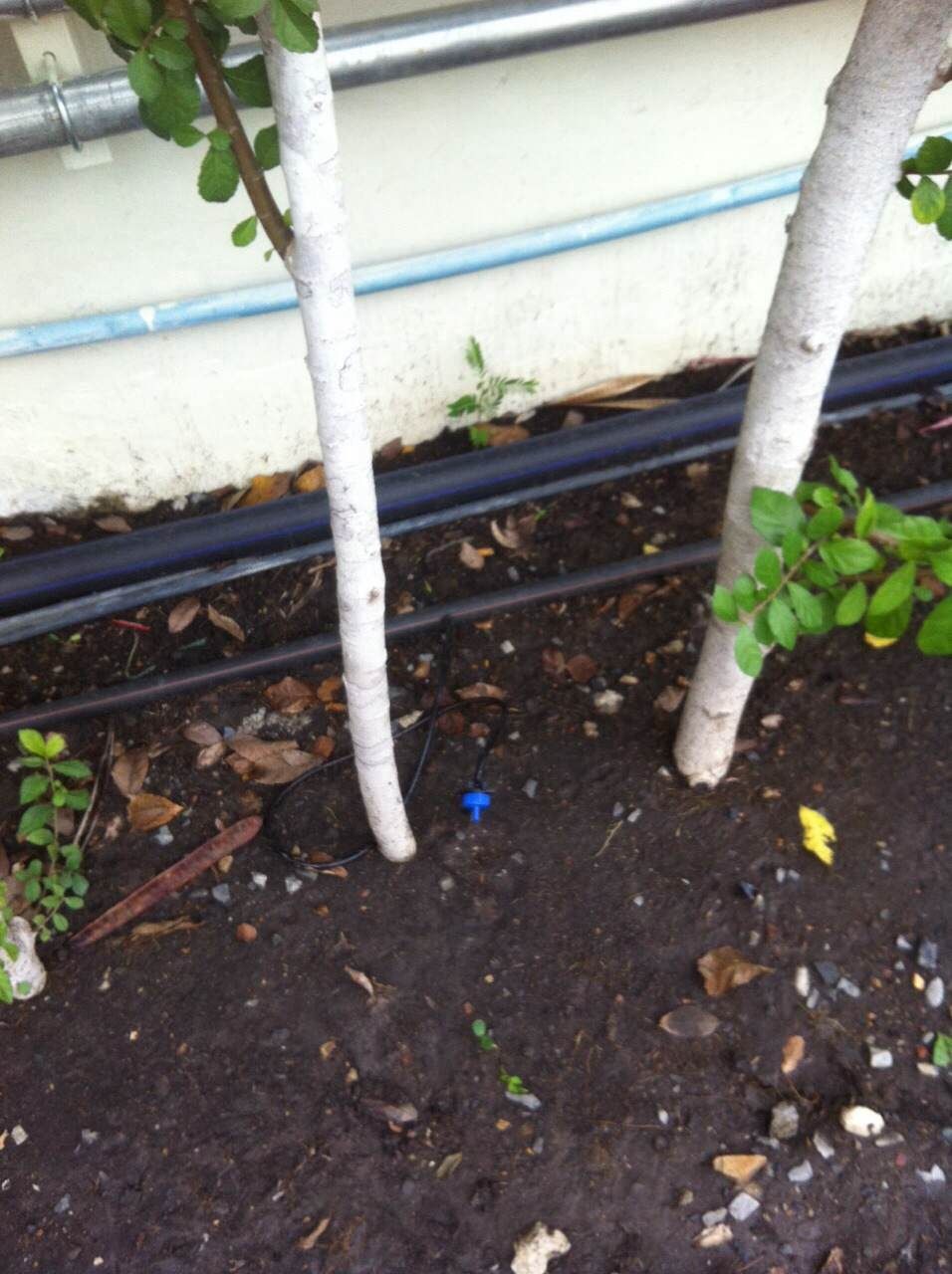 ออกแบบ รับเหมางานระบบรดน้ำต้นไม้และระบบพ่นหมอก แรงดันสูง แรงดันต่ำ