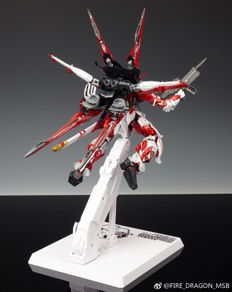 Metal build 1/100 ASTRAY RED FRAME + Back Pack part [Fired Dragon]