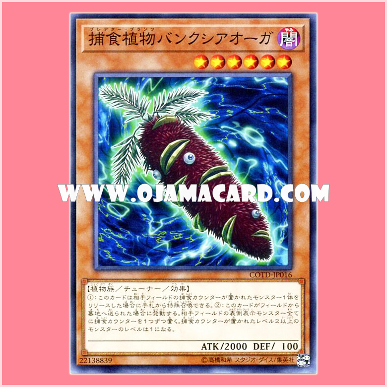 COTD-JP016 : Predaplant Banksia Ogre / Predator Plants Banksia Ogre (Common)