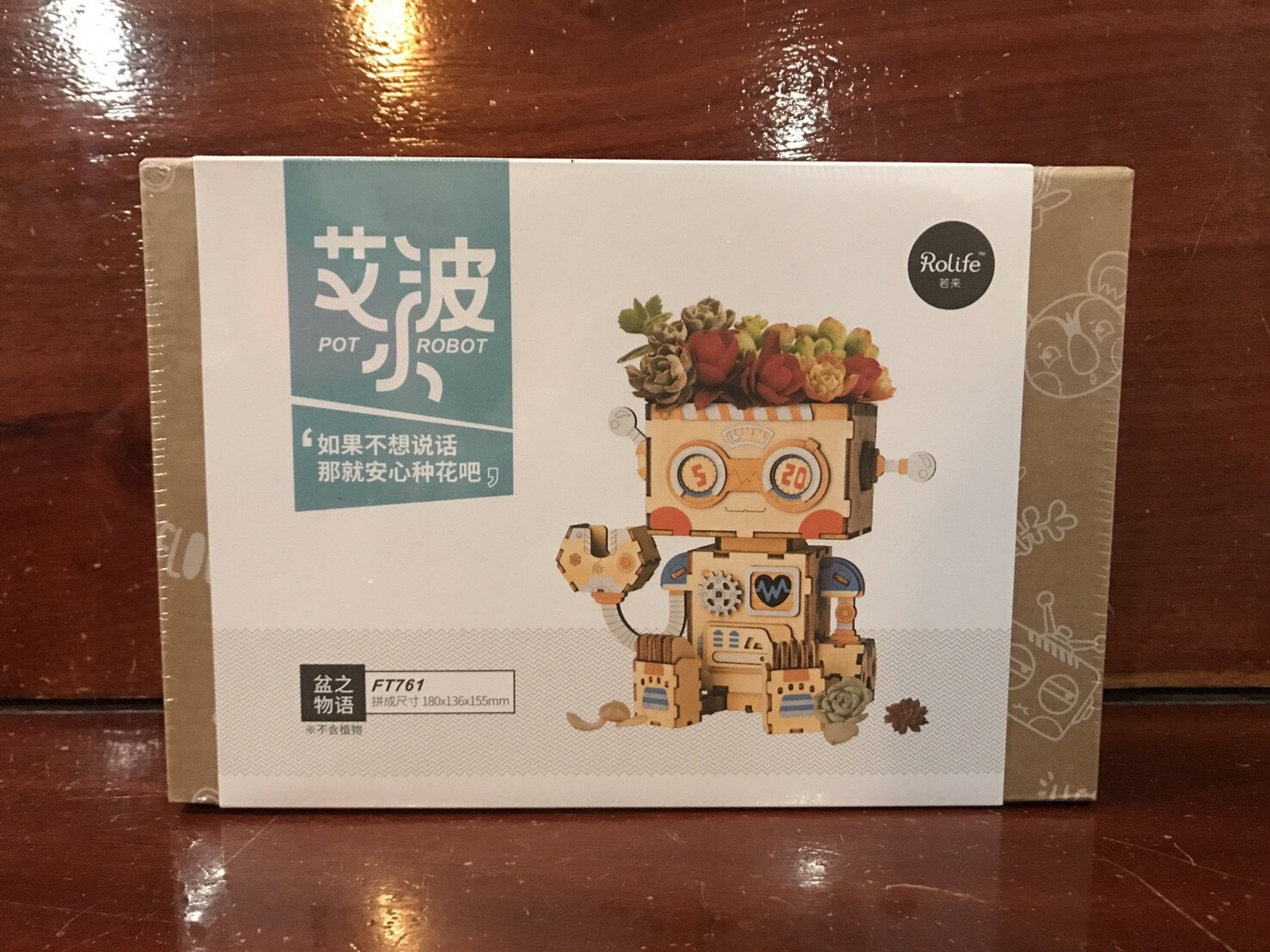 DIY Flower Pot - Pot Robot - กระถางต้นไม้
