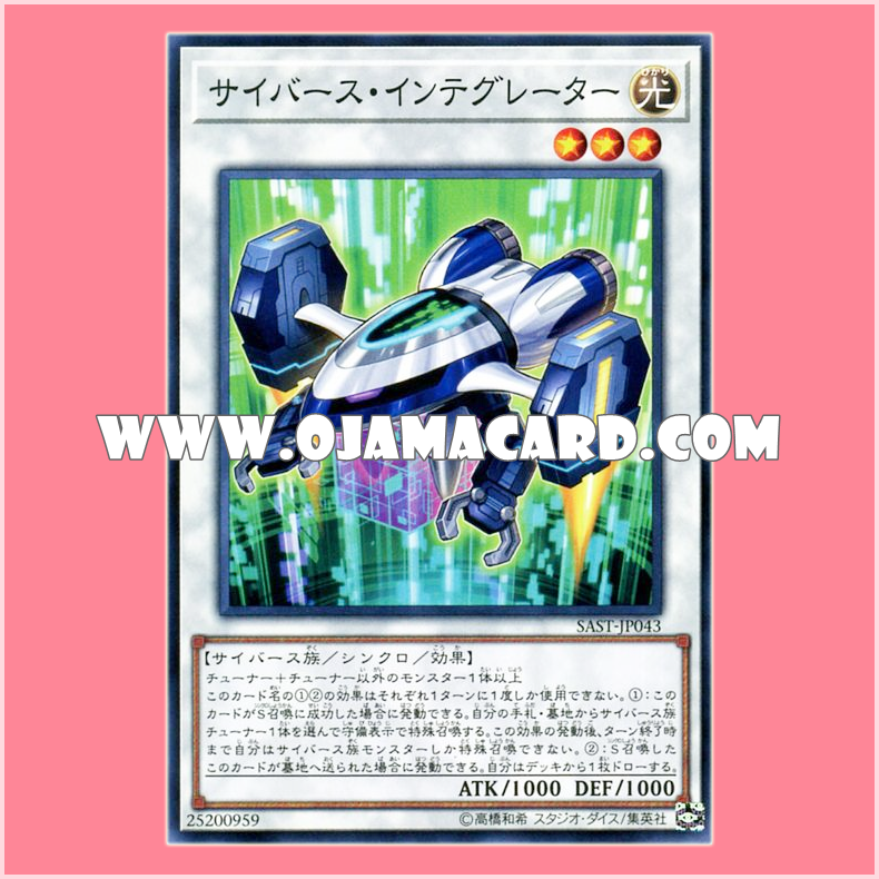 SAST-JP043 : Cyberse Integrator (Common)