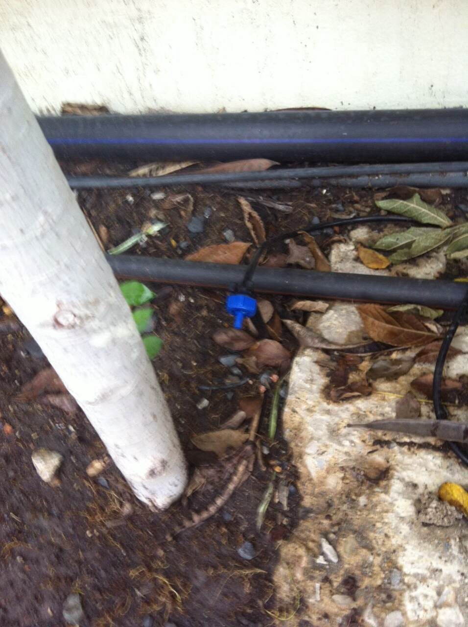 ออกแบบ รับเหมางานระบบรดน้ำต้นไม้และระบบพ่นหมอก แรงดันสูง แรงดันต่ำ