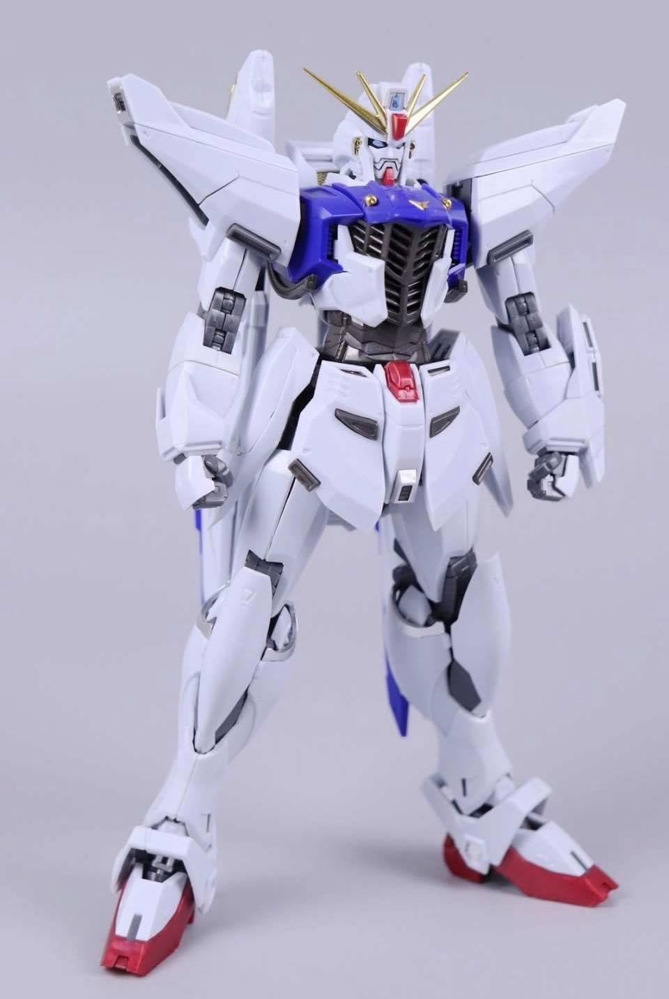 MG 1/100 F91 Ver.MB + MSV Option Set (8821) [Daban]