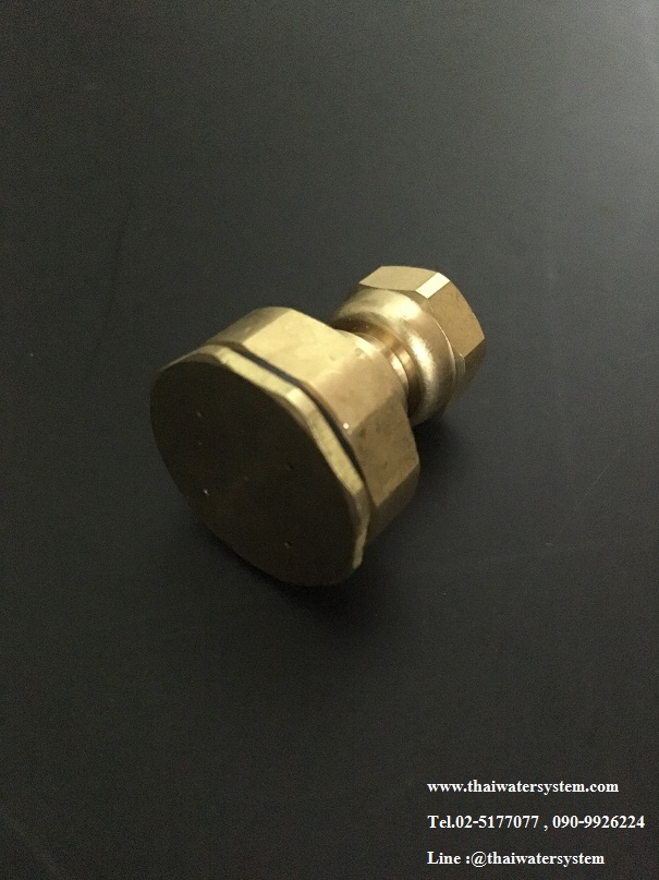 14-A-009 หัวพ่นยาทองเหลือง 5 รู