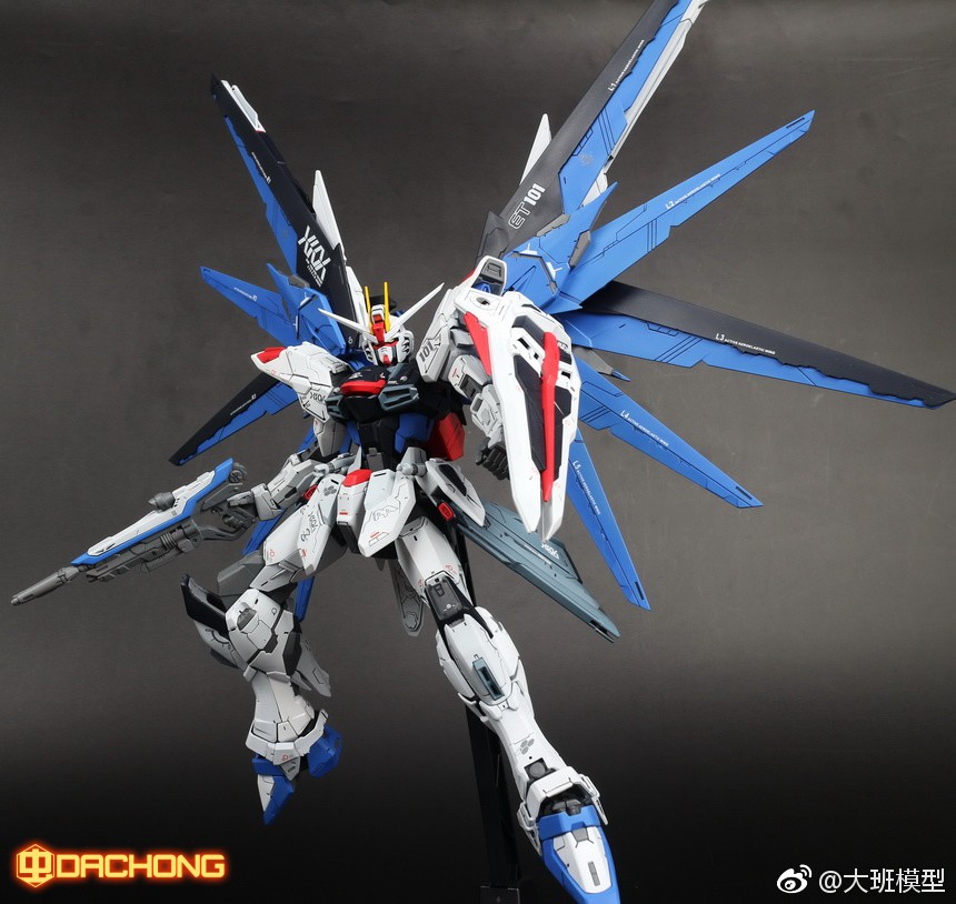 MG 1/100 (6650) Freedom Gundam Ver. 2.0 [Daban]