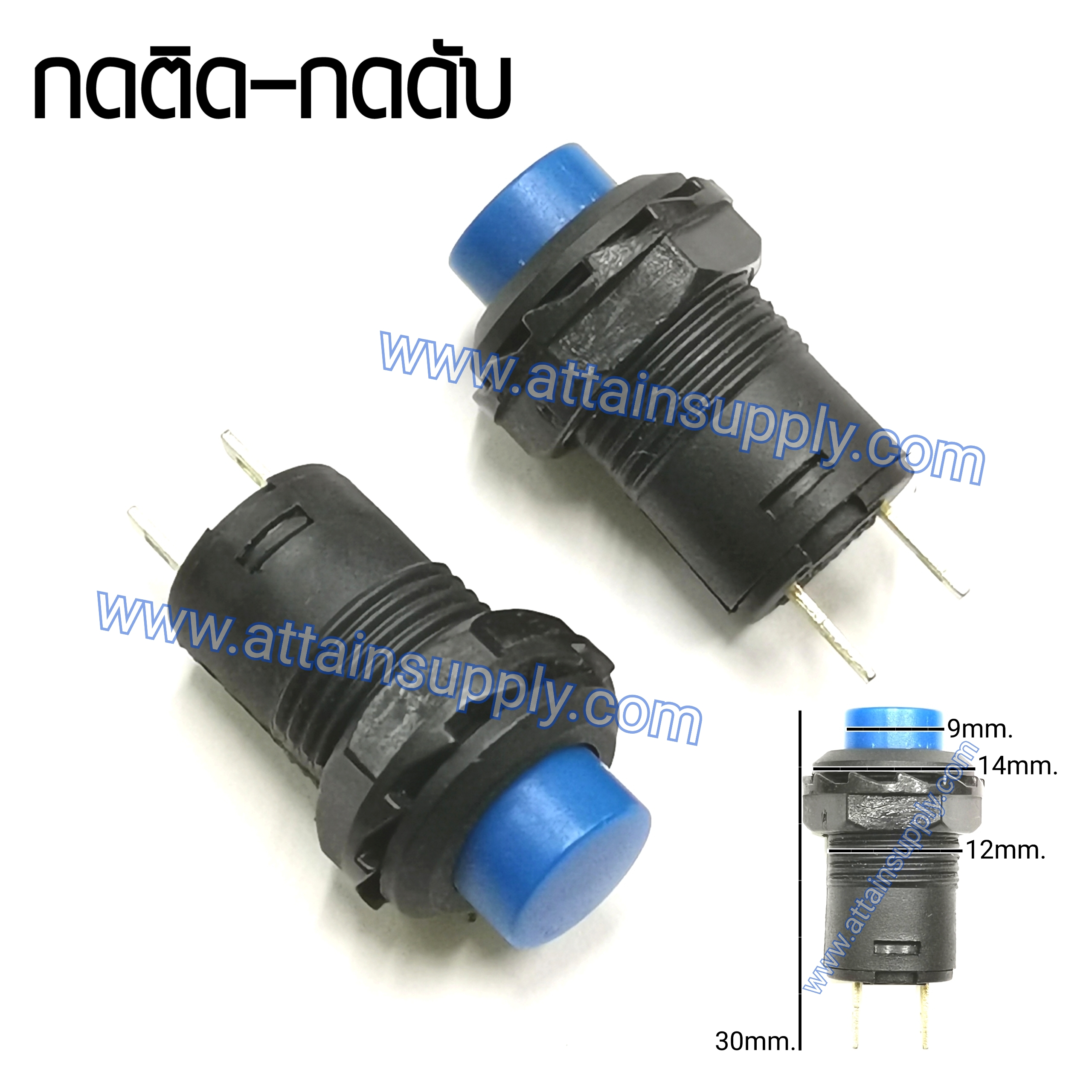 สวิทช์ กดติด-กดดับ/เกลียวพลาสติก-สีน้ำเงิน