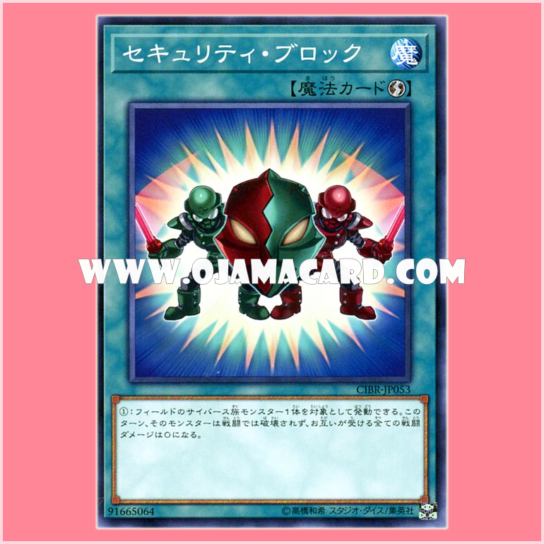 CIBR-JP053 : Security Block (Common)