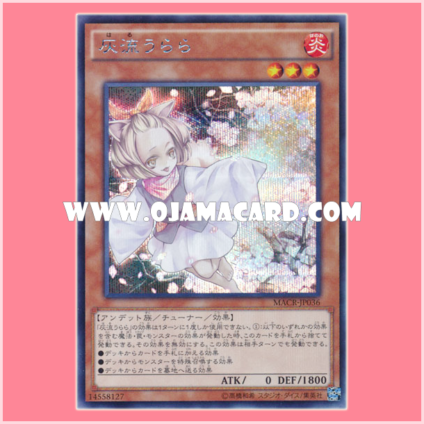 MACR-JP036 : Ash Blossom & Joyous Spring / Haru Urara (Secret Rare)