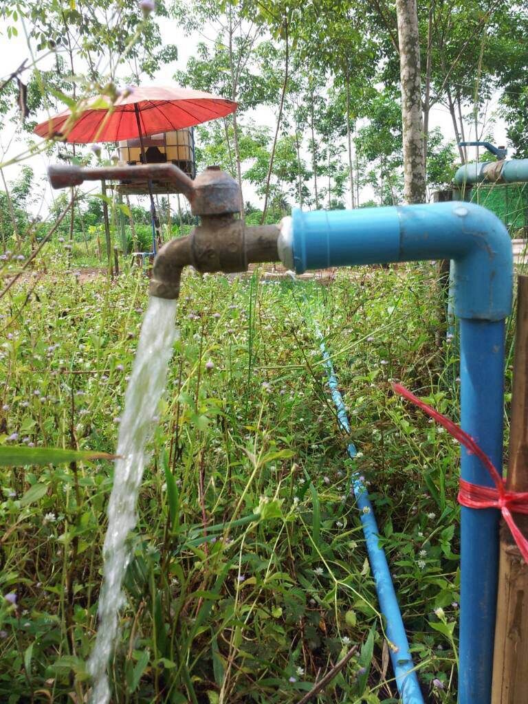 SEAFLO ปั๊มน้ำ DC12V รุ่น SEAFLO-51 แรงดัน 4.1 บาร์ 1,200 ลิตร/ชม.( ปั๊มสูบน้ำ/พ่นหมอก/สปริงเกอร์ )