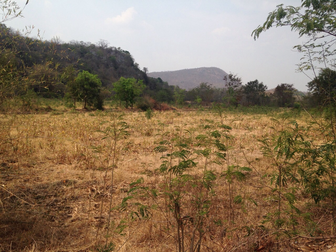 ขายที่ดินทำเลดี พร้อมโฉนดครุฑแดง ต.ช่องแค อ.ตาคลี จ.นครสวรรค์ จำนวน 62 ไร่ 1 งาน (ไม่เเบ่งขาย) เจ้าของขายเอง