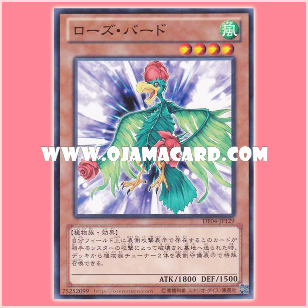 DE04-JP129 : Bird of Roses / Rose Bird (Common)