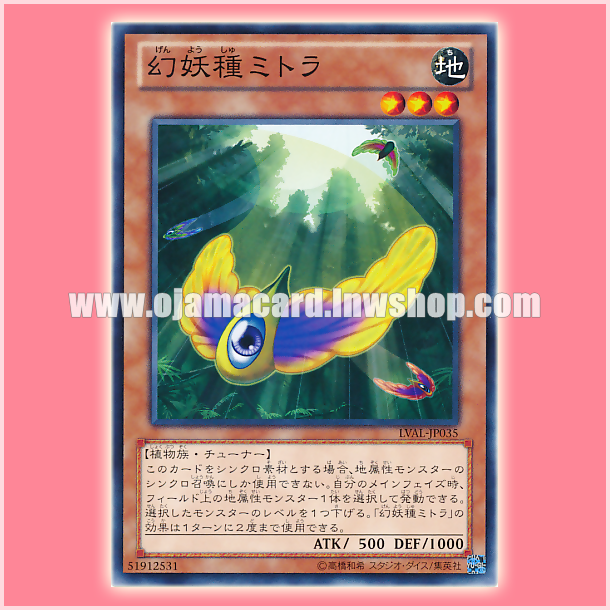 LVAL-JP035 : Mystic Macrocarpa Seed / Mystic Seed Mitra (Common)