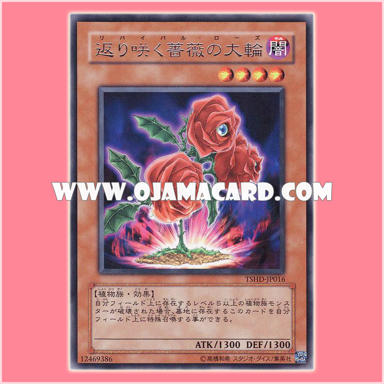 TSHD-JP016 : Revival Rose (Rare)