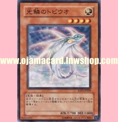 EXP1-JP029 : Golden Flying Fish (Common)