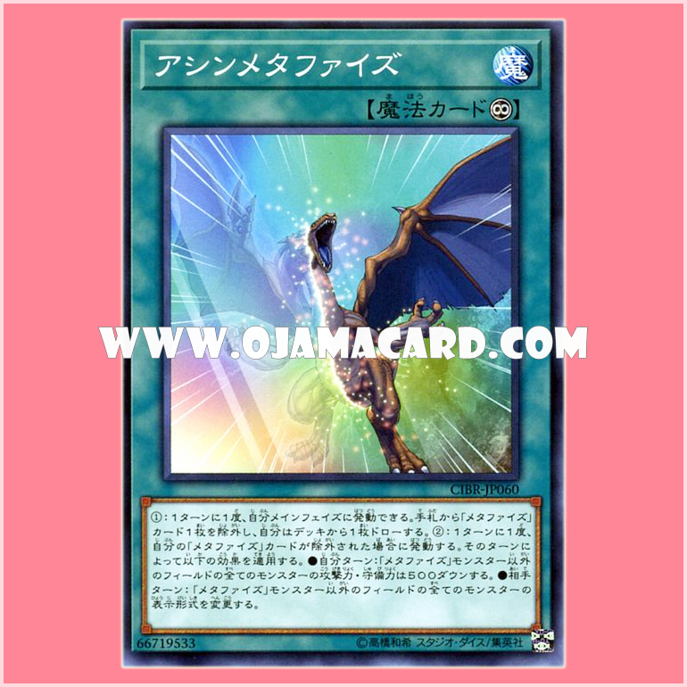 CIBR-JP060 : Asymmetaphys (Common)