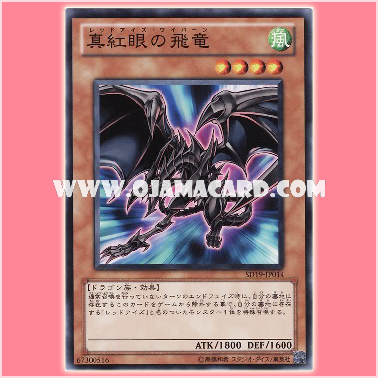 SD19-JP014 : Red-Eyes Wyvern (Common)
