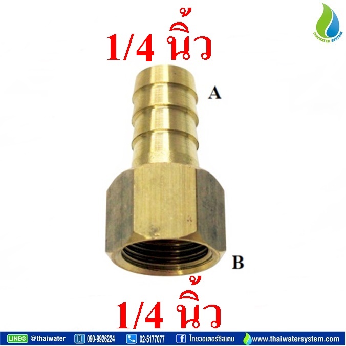 PCF6-02 ข้อต่อทองเหลืองเกลียวใน-เสียบสายหางปลาไหล 1/4 นิ้ว x 1/4 นิ้ว ทองเหลือง