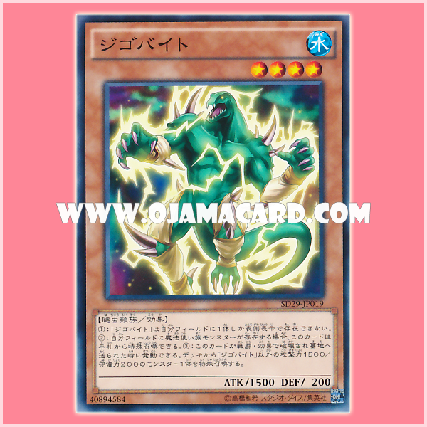 SD29-JP019 : Jigabyte / Jigobyte (Common)