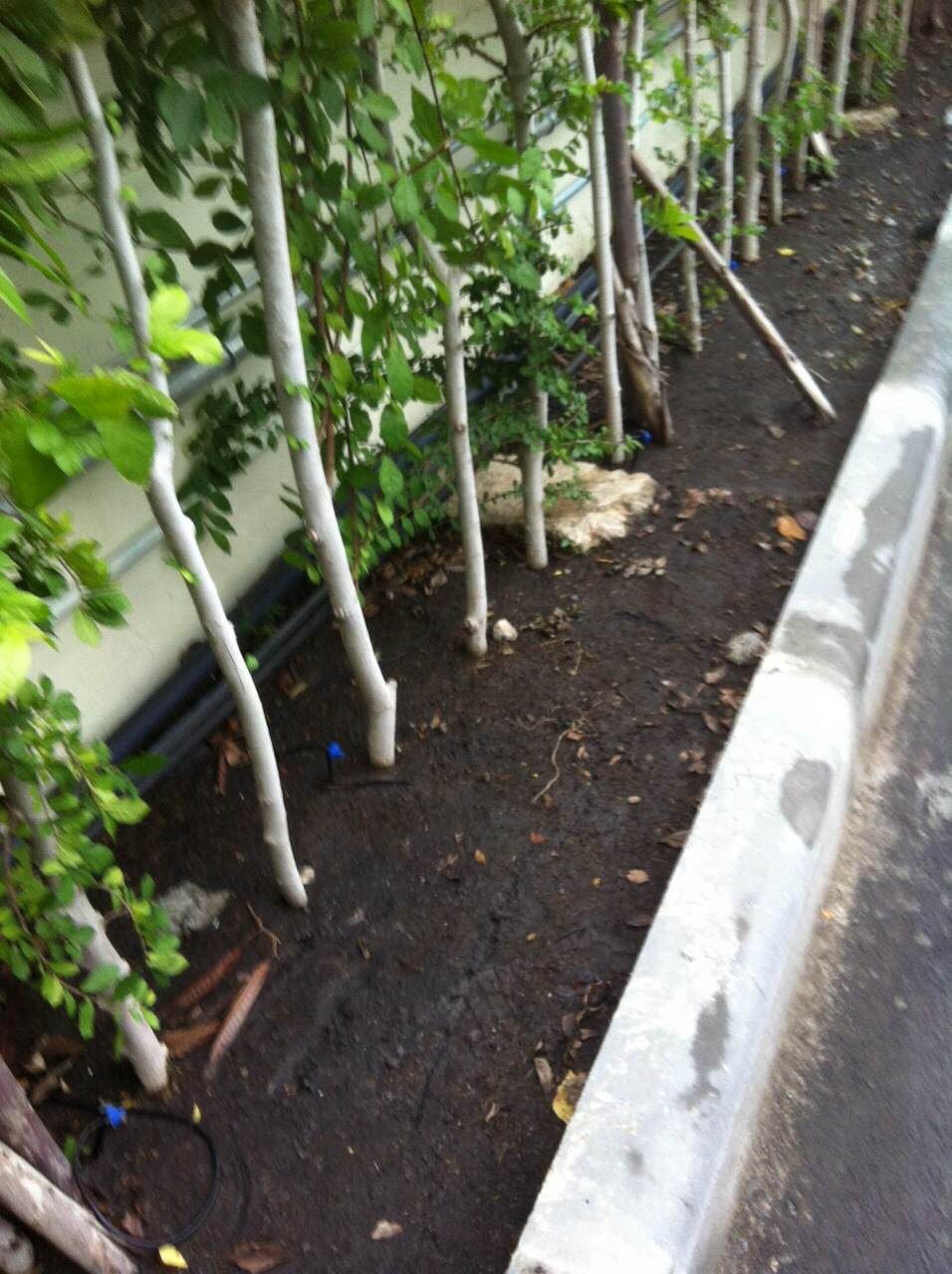 ออกแบบ รับเหมางานระบบรดน้ำต้นไม้และระบบพ่นหมอก แรงดันสูง แรงดันต่ำ