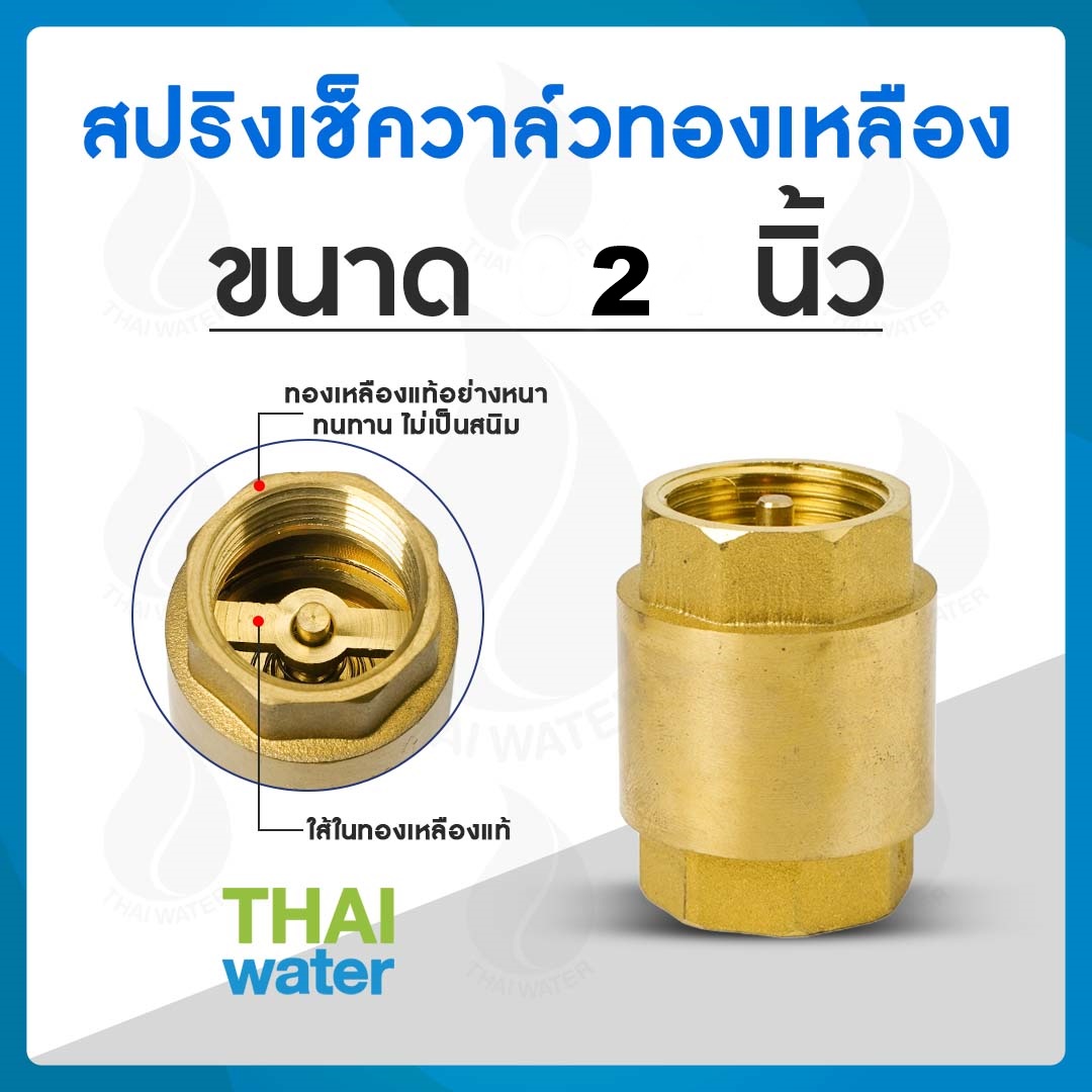 สปริงเช็ควาล์ว 2"