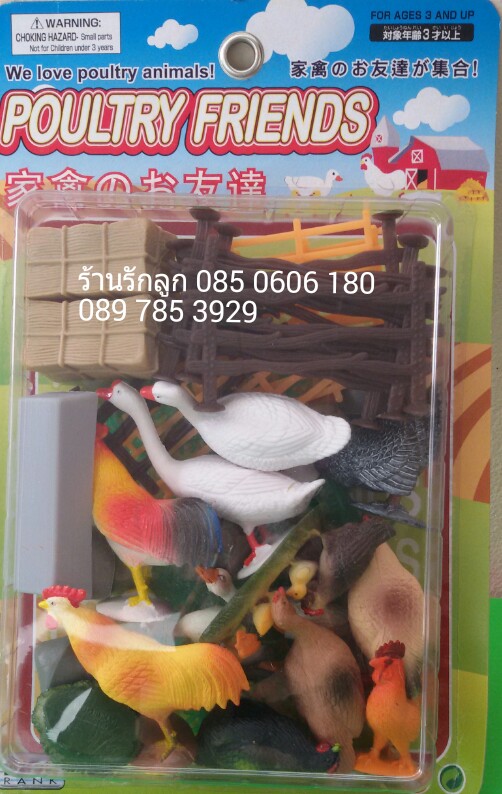 โมเดลสัตว์จำลองสัตว์ปีก ไก่ เป็ด + Pop Up ตกแต่ง