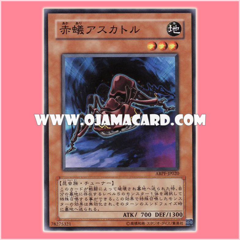 ABPF-JP020 : Fire Ant Ascator / Red Ant Ascator (Common)