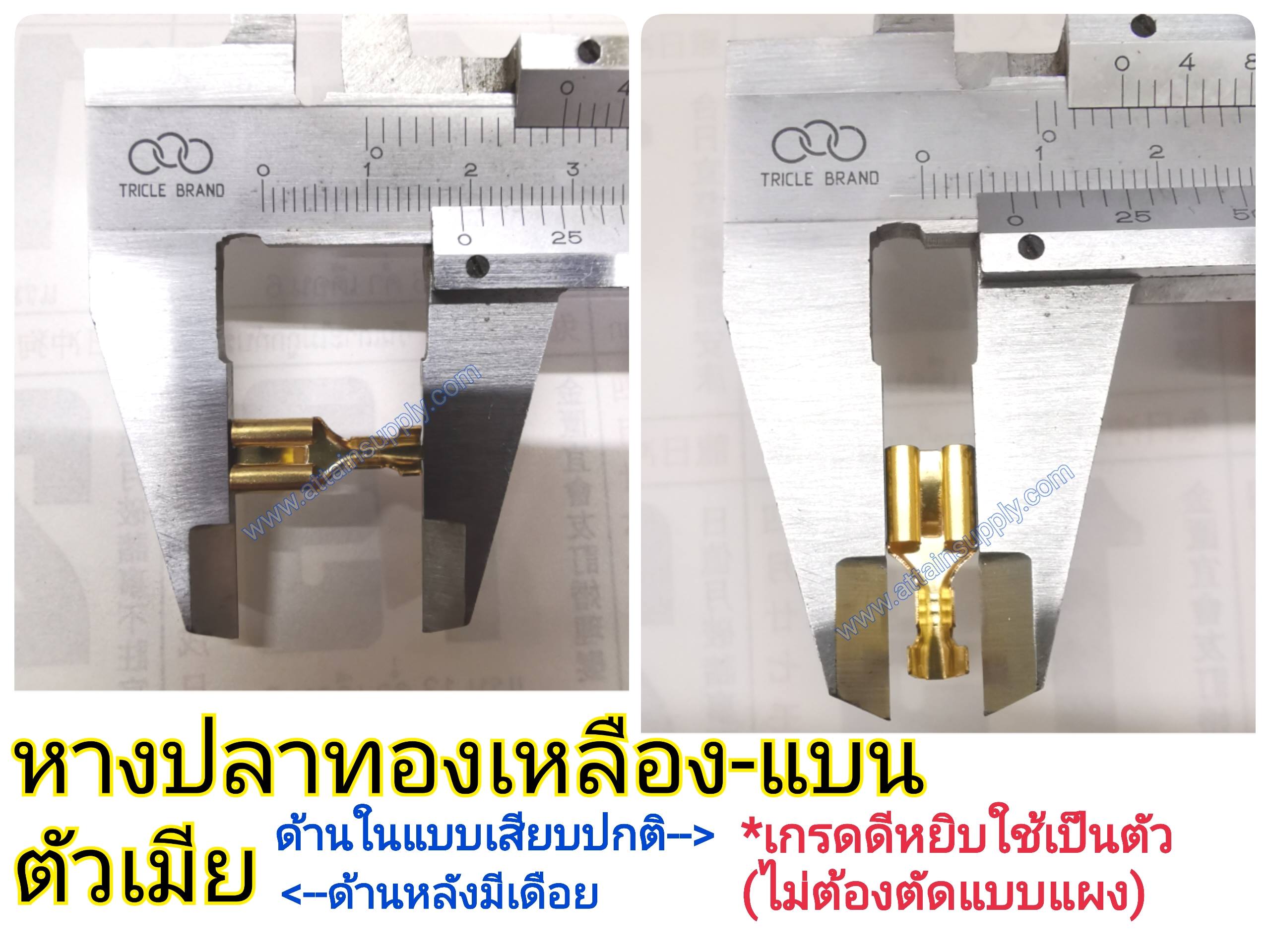 หางปลาทองเหลือง-แบน No.5 มีเดือยด้านหลัง