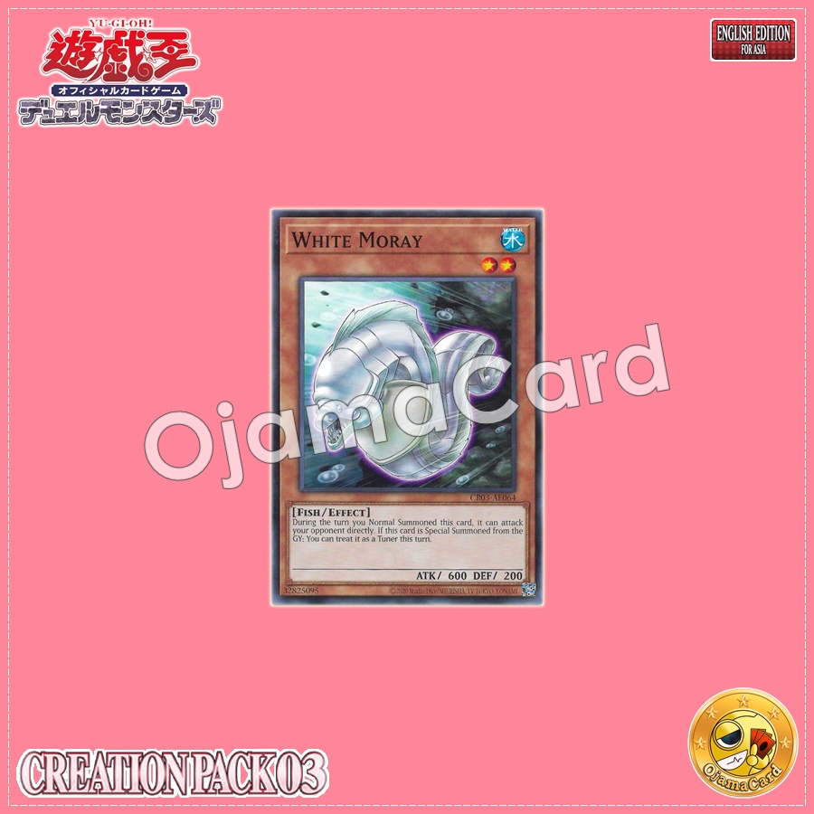 CR03-AE064 : White Moray (Common)