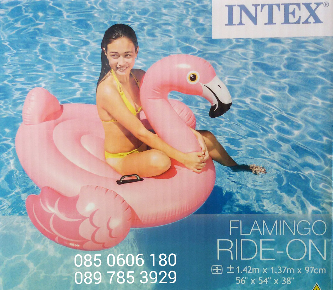 Intex แพยางลอยน้ำ แพเป่าลมนกฟลามิงโกชมพู แพนกฟลามิงโกชมพู แพเป่าลมนกฟลามิงโกชมพู แพยางแฟนซี แพยาง แพยางเป่าลม
