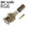 P.BNC แบบบีบ/RG6