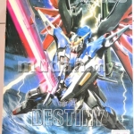 MG (006) 1/100 Destiny Gundam