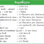 ข้อมูลพื้นฐานเรื่องหน่วย