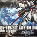 HG 1/144 Aile Strike (171) [TT]