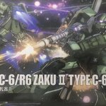 HG 1/144 MS-06C-6/R6 ZAKU II Type C-6/R6 (025) [TT]