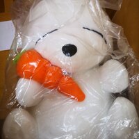 Mashimaro - Carrot 24"