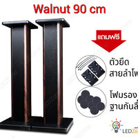 Walnut สูง 90 cm